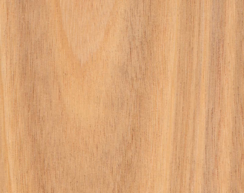 tasmanian oak-solid-unfinished-hardwood-dynasty-flooring-brooklyn-newyork